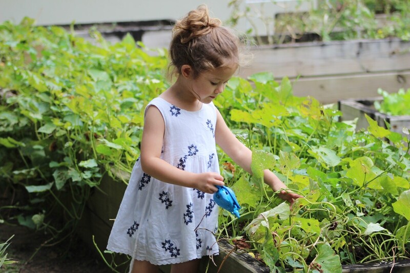Jardin communautaire